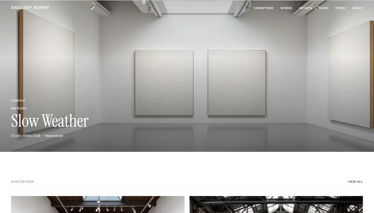 De website van Gallery Borry